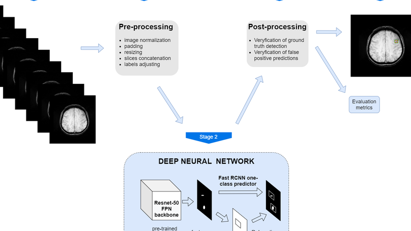 A Comprehensive Analysis of Deep Neural-Based Cerebral Microbleeds Detection System